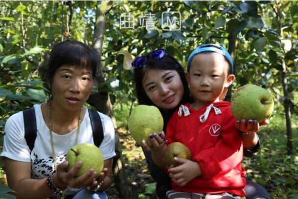 马龙歪苹果 又是一年大丰收